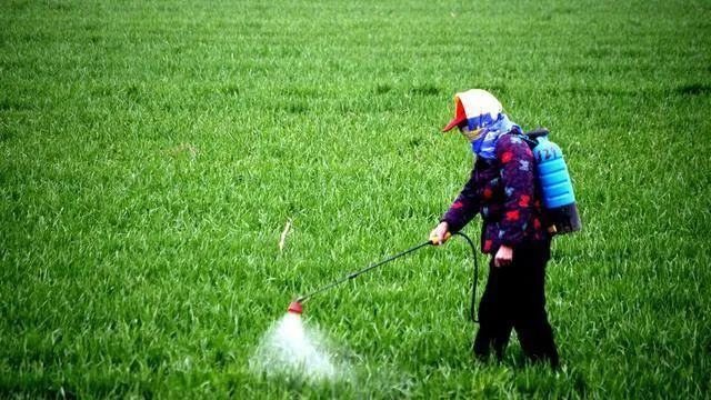 打药切忌“一锅炖”！