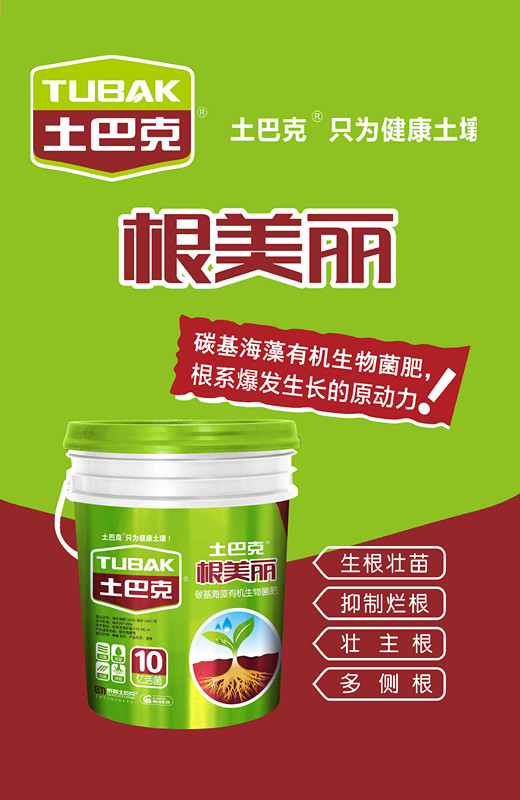 根美丽海报3.jpg 根美丽海报3.jpg