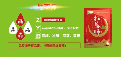 微信图片_20241211135956_副本_副本.jpg